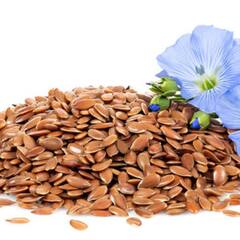 Uses of Flax seeds : ਮੋਟਾਪਾ ਘਟਾਉਣ ਲਈ  ਕਿਵੇਂ ਖਾਈਏ ਅਲਸੀ ਦੇ ਬੀਜ