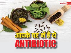 आपके घर में मौजूद है कई बीमारियों का इलाज, ये है सबसे इफेक्टिव देसी एंटीबायोटिक