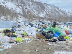 'हम पहाड़ों पर क्या छोड़ कर आ रहे हैं', IFS अधिकारी ने शेयर की अटल टनल के नजदीकी गांव की तस्वीर