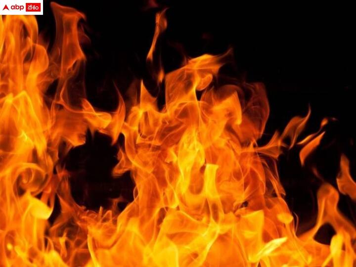 Nagpur Maharashtra fire in house Two children died in the fire their sister escaped detail marathi news Nagpur Fire : नागपुरात अग्नितांडव, घराला लागलेल्या आगीत दोन लहान मुलांचा होरपळून मृत्यू