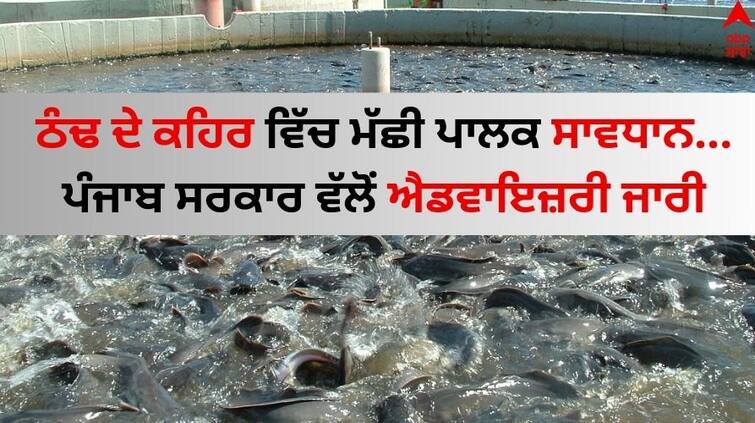 Punjab Government issues advisory to protect Fisheries during Winter read News Ludhiana News: ਠੰਢ ਦੇ ਕਹਿਰ ਵਿੱਚ ਮੱਛੀ ਪਾਲਕ ਸਾਵਧਾਨ...ਪੰਜਾਬ ਸਰਕਾਰ ਵੱਲੋਂ ਐਡਵਾਇਜ਼ਰੀ ਜਾਰੀ 