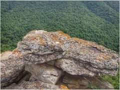 Happy New Year 2024: पर्यटकों से गुलजार हुआ बस्तर का ये हिल स्टेशन, प्राकृतिक नजारे का लुत्फ ले रहे सैलानी