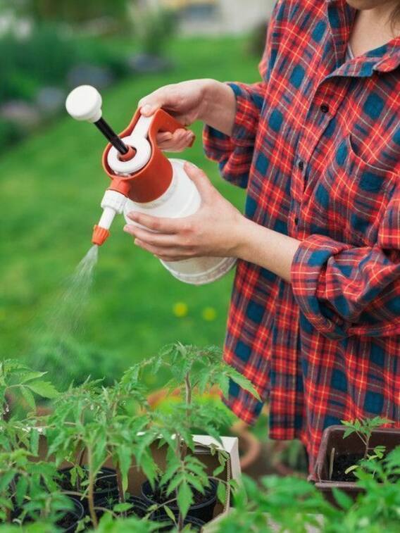 फ्री में घर पर बनाएं नीम का कीटनाशक