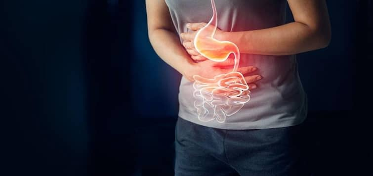 Health Tips stomach infection problem know what to eat and precautions here marathi news Health Tips : पोटात इन्फेक्शन झाल्यास काय खावं आणि काय खाऊ नये? जाणून घ्या 'या' महत्त्वाच्या गोष्टी