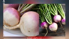 Turnip Benefits: ਸ਼ਲਗਮ ਖਾਣ ਦੇ ਇਹ 5 ਗਜ਼ਬ ਦੇ ਫਾਇਦੇ, ਆਓ ਜਾਂਦੇ ਹਾਂ...