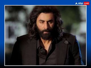 Animal Box Office Collection: 'એનિમલ' એ  31માં દિવસે કરી છપ્પર ફાડ કમાણી, જાણો કુલ કલેક્શન વિશે