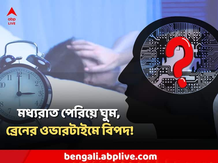 Human Sleep Dysfunction and Gastrointestinal Diseases Brain work night sleep abpp Sleep Cycle: ছুটি নেই, মাঝরাতেই বাড়ে মাথার কাজ ! ঘুম কম মানে হাল ছেড়ে দেবে ব্রেন ?