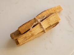 Benefits of Sandalwood : सुगंधी चंदनाचे औषधी गुणधर्म आणि फायदे!