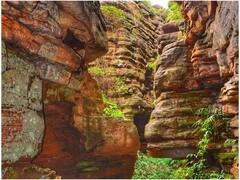 Happy New Year 2024: पर्यटकों से गुलजार हुआ बस्तर का ये हिल स्टेशन, प्राकृतिक नजारे का लुत्फ ले रहे सैलानी