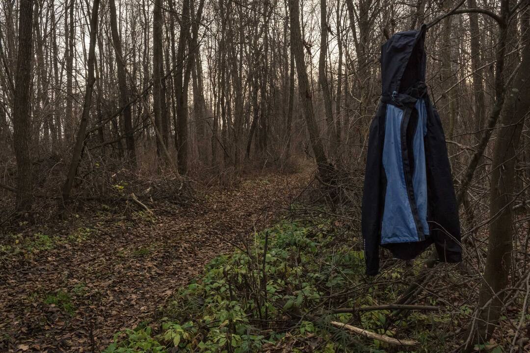 Belarus Forests: ਭੇਜਣਾ ਸੀ ਪੁਰਤਗਾਲ ਛੱਡ ਦਿੱਤਾ ਬੇਲਾਰੂਸ ਦੇ ਜੰਗਲਾਂ 'ਚ, ਪਰਿਵਾਰ ਦੀ ਸ਼ਿਕਾਇਤ ਤੋਂ ਬਾਅਦ ਐਕਸ਼ਨ 'ਚ ਸਰਕਾਰ, ਜਾਂਚ ਦੇ ਹੁਕਮ Instead to Portugal agent left young man in Belarus forest Belarus Forests: ਭੇਜਣਾ ਸੀ ਪੁਰਤਗਾਲ ਛੱਡ ਦਿੱਤਾ ਬੇਲਾਰੂਸ ਦੇ ਜੰਗਲਾਂ 'ਚ, ਪਰਿਵਾਰ ਦੀ ਸ਼ਿਕਾਇਤ ਤੋਂ ਬਾਅਦ ਐਕਸ਼ਨ 'ਚ ਸਰਕਾਰ, ਜਾਂਚ ਦੇ ਹੁਕਮ