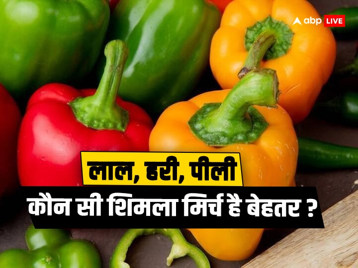 Green bell pepper in hindi sale