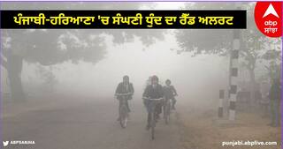 Weather Updates: ਪੰਜਾਬੀ-ਹਰਿਆਣਾ ਸਣੇ ਇਨ੍ਹਾਂ ਸੂਬਿਆਂ 'ਚ ਸੰਘਣੀ ਧੁੰਦ ਦਾ ਰੈੱਡ ਅਲਰਟ, 6 ਡਿਗਰੀ ਤੱਕ ਡਿੱਗੇਗਾ ਪਾਰਾ, ਪੜ੍ਹੋ ਮੌਸਮ ਦਾ ਹਾਲ