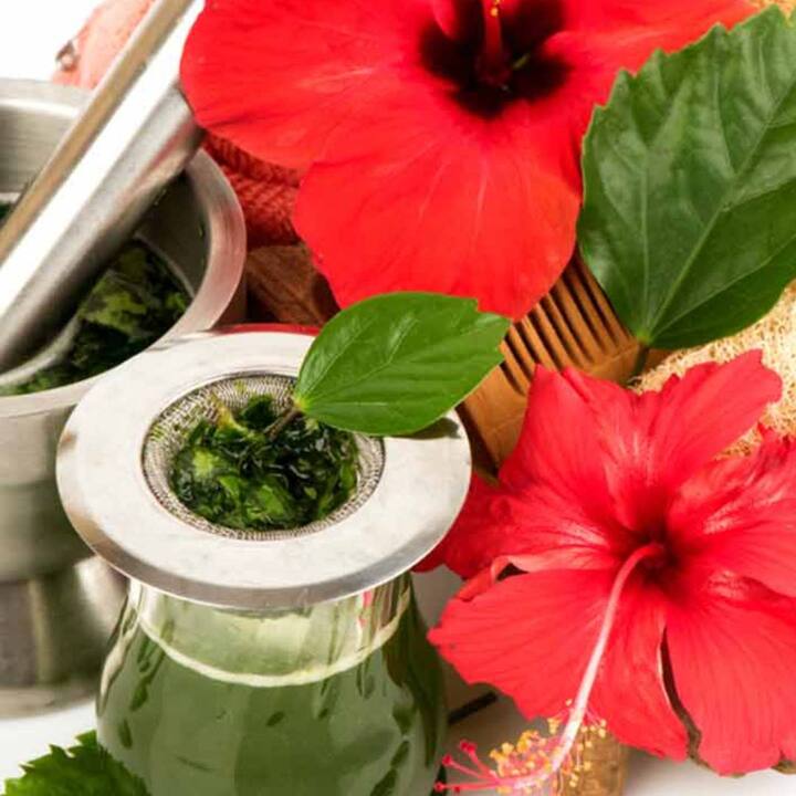 ਹਬੀਕਸ ਵਾਲਾਂ ਲਈ ਬਹੁਤ ਚੰਗਾ ਮੰਨਿਆ ਜਾਂਦਾ ਹੈ। ਇਸ ਦੀ ਵਰਤੋਂ ਅਸੀ ਤੇਲ ਦੇ ਰੂਪ ਵਿਚ ਜਾਂ ਫਿਰ ਹੇਅਰ ਪੈਕ ਦੀ ਤਰ੍ਹਾਂ ਕਰ ਸਕਦੇ ਹਾਂ। ਹੇਬੀਕਸ ਦੇ ਫੁੱਲ ਅਤੇ ਸ਼ਹਿਦ ਦਾ ਪੇਸਟ ਬਣਾ ਕੇ ਵਾਲਾ ਵਿਚ ਲਗਾਓ।