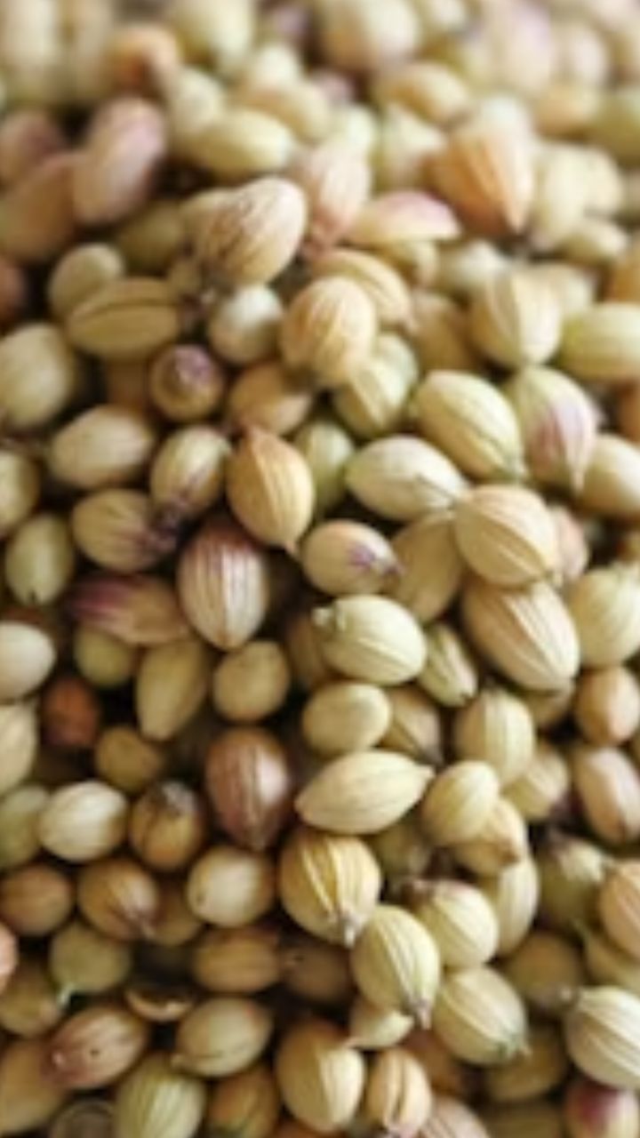 செரிமான பிரச்சனை காரணமாக ஏற்படும் புளித்த ஏப்பத்தை சரி செய்ய இது உதவும்