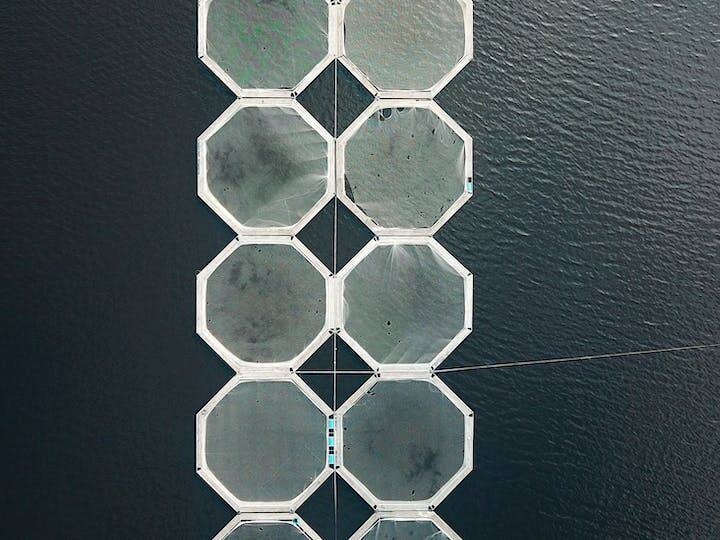 आप विभिन्न प्रकार की मछलियों को पाल सकते हैं और मछली पालन कर सकते हैं. इससे मछली का तेल और अन्य उत्पाद मिलते हैं. मछली पालन शुरू करने के लिए आपको मछली पालन के लिए उपयुक्त स्थान और आवश्यक उपकरणों की आवश्यकता होगी.