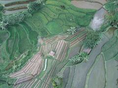 नए साल में करें इन 4 बिजनेस से नई शुरुआत, साल के आखिरी तक निकाल लेंगे पूरे पैसे