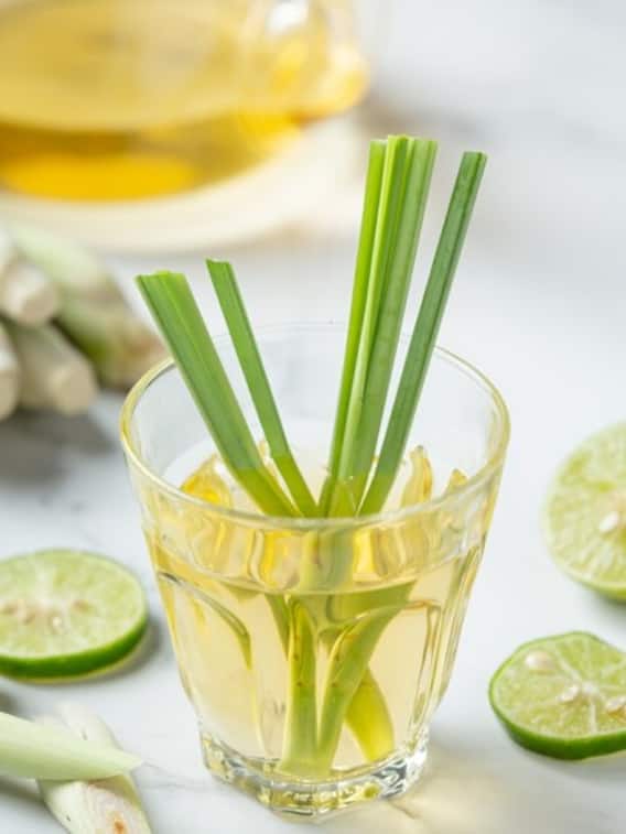 शरीर के लिए इस तरह फायदेमंद है लेमन ग्रास