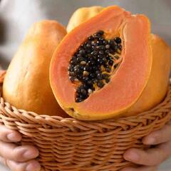 ਜਾਣੋ, ਕਦੋਂ ਤੇ ਕਿਵੇਂ ਖਾਈਏ ਪਪੀਤਾ?