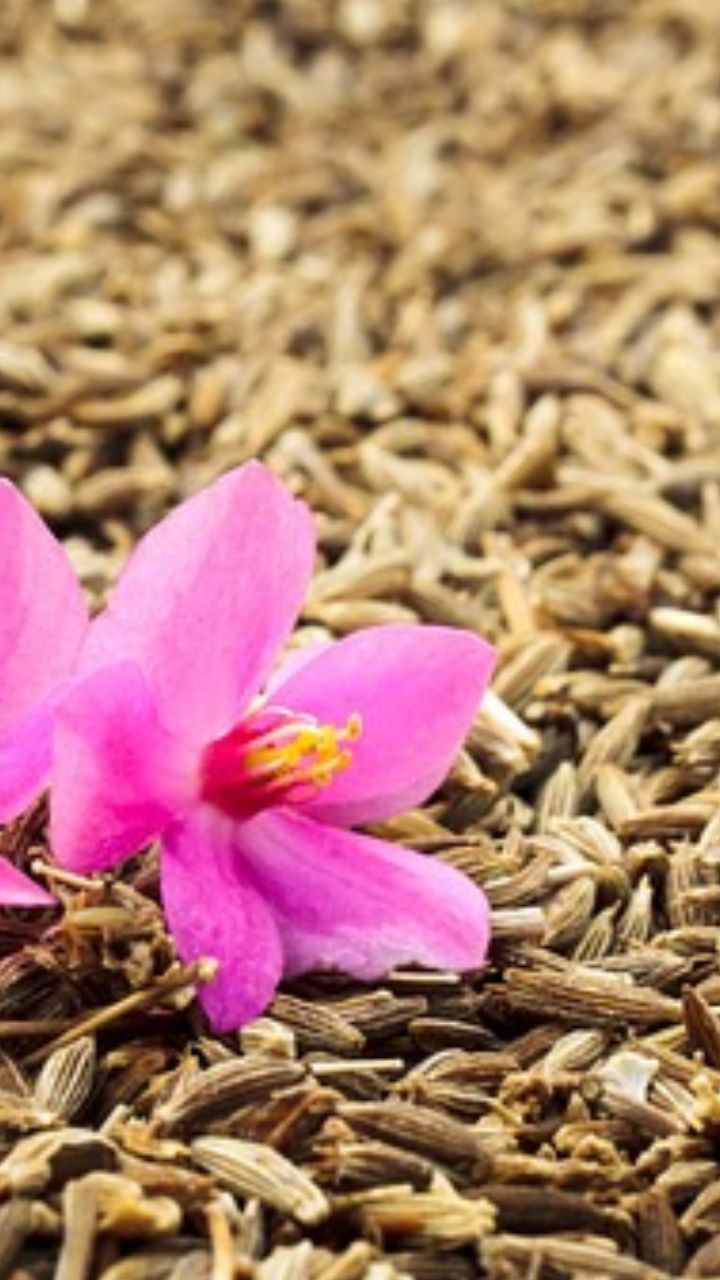பூஞ்சை மற்றும் நுண்ணுயிர் தொற்றுகளில் இருந்து காக்க  உதவலாம்