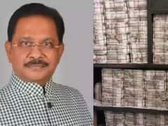 New Year 2024: किसी ने 'प्रेग्नेंसी' के नाम पर लूटा तो कोई निकला अरबों का सौदागर, बीते साल सुर्खियों में रहे ये स्कैम