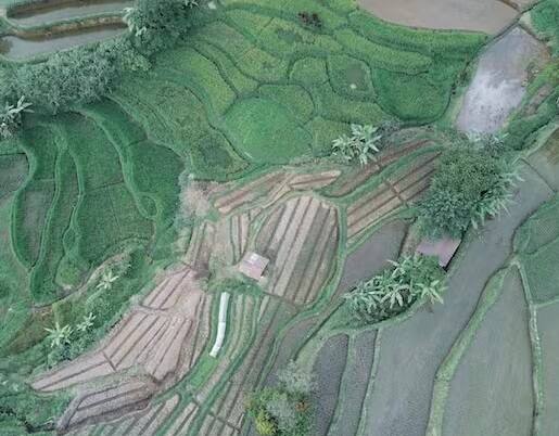 નવું વર્ષ શરૂ થઈ ગયું છે. આ વર્ષે તમે નવો ધંધો શરૂ કરી શકો છો અને સારો નફો મેળવી શકો છો. આજે અમે તમને એગ્રીકલ્ચર સેક્ટર સાથે જોડાયેલા કેટલાક બિઝનેસ વિશે જણાવીશું જેના દ્વારા તમે સારો નફો મેળવી શકો છો.