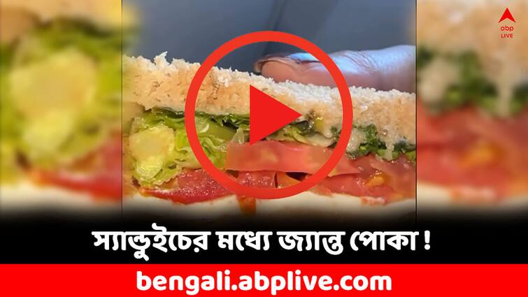 Viral Video Indigo Flight Passenger find live worm in her sandwich Viral Video: স্যান্ডুইচের মধ্যে থেকে বেরিয়ে এল জ্যান্ত কৃমি ! বিমান সংস্থার বিরুদ্ধে ক্ষোভ মহিলা যাত্রীর