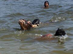 Jalikattu 2024 : மதுரையில் நடைபெற உள்ள ஜல்லிக்கட்டு போட்டிக்கு தயாராகும் காளைகளும் மாடுபிடி வீரர்களும்!