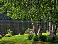 Lake: ਇਸ ਝੀਲ ਨੂੰ ਕਿਉਂ ਕਹਿੰਦੇ ਮੌਤ ਦੀ ਝੀਲ...ਰਾਤੋ-ਰਾਤ ਗਈਆਂ ਸਨ ਹਜ਼ਾਰਾਂ ਜਾਨਾਂ