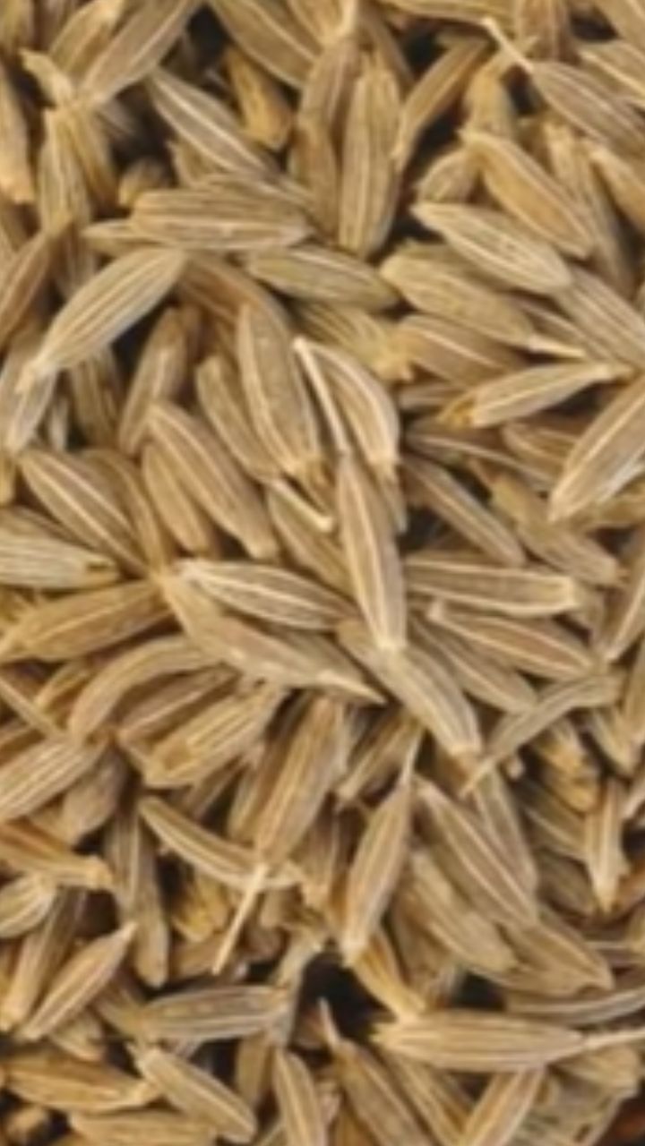 சீரகத்தில் இரும்புச் சத்து அதிகமாக உள்ளது