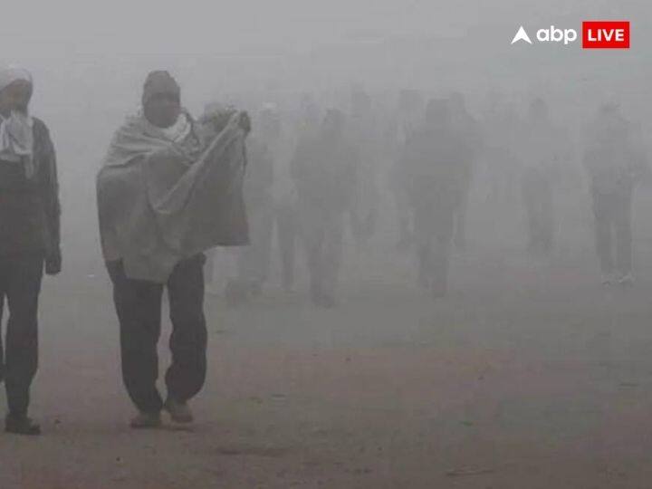 मौसम विभाग के मुताबिक, राजस्थान में अगले 3-4 दिन घना कोहरा बना रहेगा. साथ ही शीतलहर की स्थिति रहेगी.
