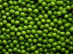 Kitchen Hacks: इस खास तरीके से मटर को फ्रीज करें ताकि सालों तक इस्तेमाल करें