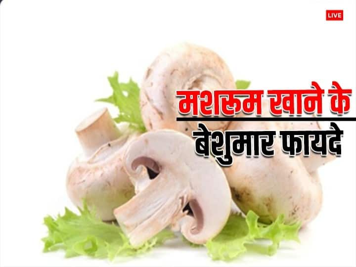 Mushrooms Benefits: क्या आपको भी मशरूम खाना पसंद नहीं है. अगर आपका जवाब हां है तो आपको एक बार उसके फायदे जरूर जान लेने चाहिए.