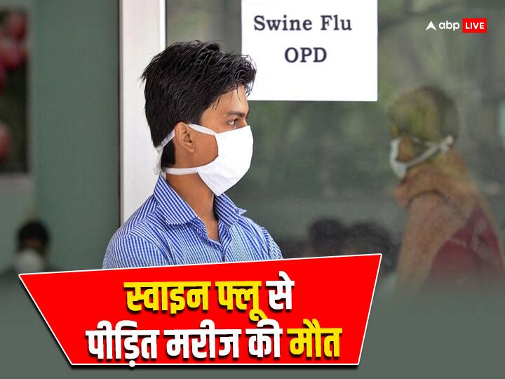 Swine Flu Case in Vadodara patient suffering H1N1 influenza positive died in Gujarat Swine Flu Case: गुजरात के वडोदरा में स्वाइन फ्लू से पीड़ित मरीज की हुई मौत, पॉजिटिव आने के बाद अस्पताल में था भर्ती