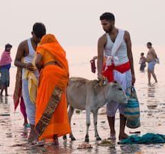 Gangasagar Mela : 'সব তীর্থ বারবার, গঙ্গাসাগর একবার' কেন? অন্য তীর্থের থেকে কতটা আলাদা ?