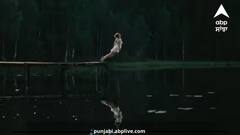 Lake: ਇਸ ਝੀਲ ਨੂੰ ਕਿਉਂ ਕਹਿੰਦੇ ਮੌਤ ਦੀ ਝੀਲ...ਰਾਤੋ-ਰਾਤ ਗਈਆਂ ਸਨ ਹਜ਼ਾਰਾਂ ਜਾਨਾਂ