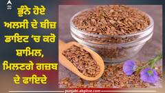 Roasted Flax Seeds: ਭੁੰਨੇ ਹੋਏ ਅਲਸੀ ਦੇ ਬੀਜ਼ ਡਾਇਟ ‘ਚ ਕਰੋ ਸ਼ਾਮਿਲ, ਮਿਲਣਗੇ ਗਜ਼ਬ ਦੇ ਫਾਇਦੇ