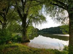 Lake: ਇਸ ਝੀਲ ਨੂੰ ਕਿਉਂ ਕਹਿੰਦੇ ਮੌਤ ਦੀ ਝੀਲ...ਰਾਤੋ-ਰਾਤ ਗਈਆਂ ਸਨ ਹਜ਼ਾਰਾਂ ਜਾਨਾਂ