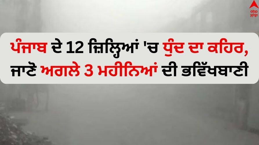Punjab Weather Forecast Update IMD warns of dense fog in Punjab know the forecast for the next 3 months Punjab Weather Update: ਪੰਜਾਬ ਦੇ 12 ਜ਼ਿਲ੍ਹਿਆਂ 'ਚ ਧੁੰਦ ਦਾ ਕਹਿਰ, ਜਾਣੋ ਅਗਲੇ 3 ਮਹੀਨਿਆਂ ਦੀ ਭਵਿੱਖਬਾਣੀ 