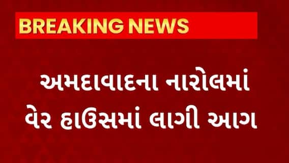 Ahmedabad News : નારોલના વેરહાઉસમાં અચાનક લાગી આગ