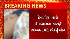 Bhavnagar News : ભાવનગરના ભાલ પંથકમાં નીલગાયના કારણે સર્જાયો અકસ્માત