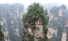 Zhangjiajie National Forest Park: ‘অবতার’ ছবির Pandora বলে ভ্রম জাগে, শুধু প্রাকৃতিক সৌন্দর্যই নয়, আউটডোর লিফ্টের জন্যও পরিচিত এই পার্ক