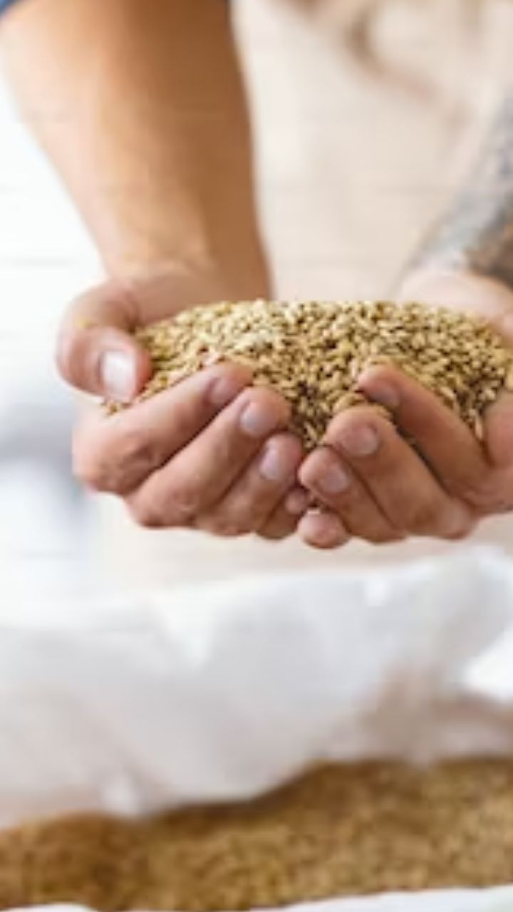 நோய் எதிர்ப்பு சக்தியை அதிகரிக்க சீரகம் உதவும்