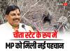 WATCH: 'मध्य प्रदेश को चीता स्टेट के रूप में नई पहचान मिली', शावकों के जन्म पर क्या बोले सीएम मोहन यादव?