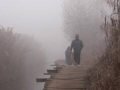 Weather Today: नए साल में इतना गिरा पारा, जम गई झील, तस्वीरों में देखें कैसे ठिठुर रहा उत्तर भारत