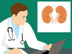 Kidney Health : சிறுநீரகத்தில் தங்கியுள்ள நச்சுக்களை நீக்க இந்த பழங்களை உண்ணுங்கள்!