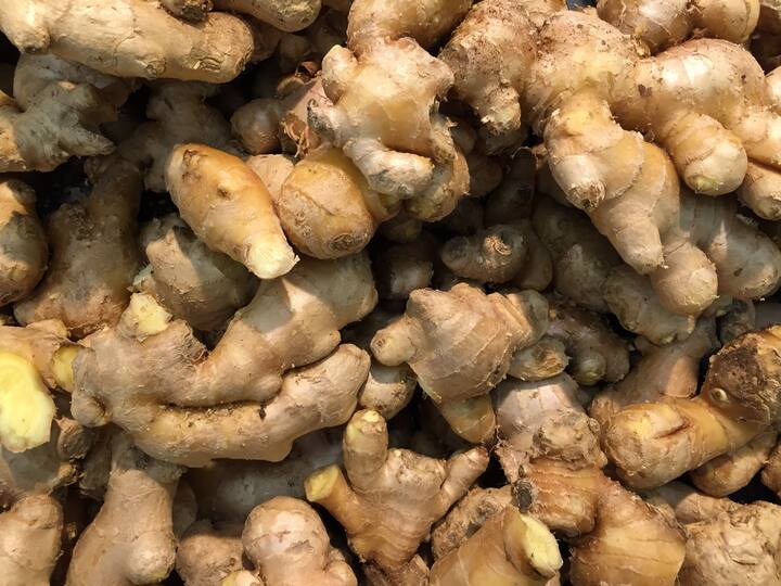 আদায় থাকা জিঞ্জারোল (Gingerol) হজম সহায়ক উৎসেচক ক্ষরণে সাহায্য করে। পুষ্টিপদার্থ ব্রেকডাউন করতে এবং পুষ্টি শোষণ করতে সাহায্য করে।