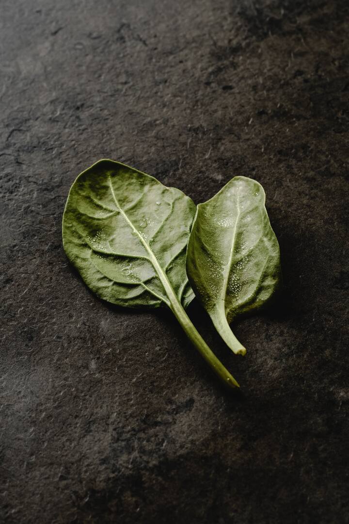 पालक सहज पचतो आणि त्यामुळे गॅस किंवा ऍसिडिटी लवकर होत नाही.पालक खाल्ल्याने रेडिएशनपासून बचाव होतो.  [Photo Credit : Pexel.com]