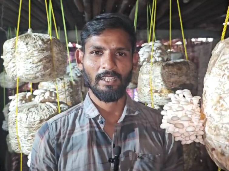Nandurbar Farmer Success Story Mushroom Farming Done in the Hut Earning Huge Profit Every Month नंदुरबारच्या शेतकऱ्याची यशोगाथा! झोपडीत केली 'मशरुमची शेती', महिन्याला मिळवतोय बक्कळ नफा
