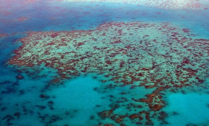 দ্য গ্রেট ব্যারিয়ার রিফ: বিশ্বের বৃহত্তম প্রবাল প্রাচীর। ২ হাজার ৯০০ ছোট ছোট প্রবাল প্রাচীর জুড়ে ৯০০টি দ্বীপের সৃষ্টি হয়েছে। অস্ট্রেলিয়ার কুইন্সল্যান্ডের দ্য গ্রেট ব্যারিয়ার রিফ পর্যটকদের কাছে অন্যতম আকর্ষণ। সামুদ্রিক বাস্তুতন্ত্রে অদ্ভুত বৈচিত্র লক্ষ্য করা যায় এখানে। ছবি: পিক্সাবে।