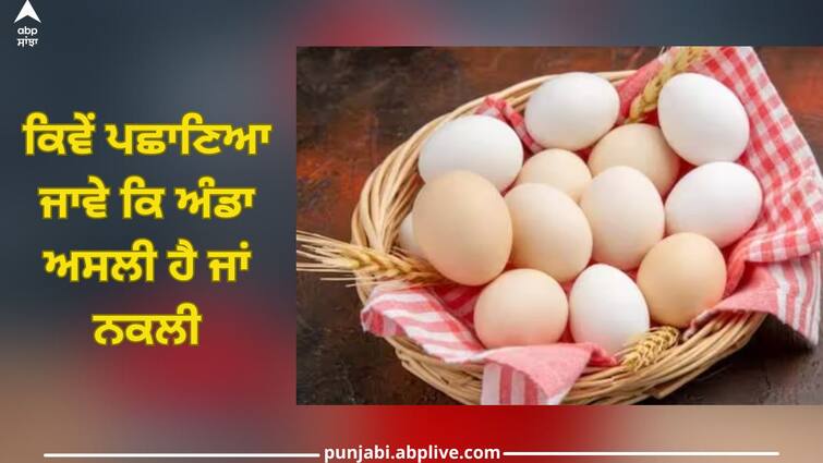 easy ways to identify difference between fake eggs and real eggs health news Eggs Fake or Real: ਸਰਦੀਆਂ ਵਿੱਚ ਅੰਡੇ ਖਾਣ ਵਾਲੇ ਹੋ ਜਾਣ ਸਾਵਧਾਨ! ਕਿਉਂਕਿ ਨਕਲੀ ਅੰਡੇ ਖਰਾਬ ਕਰ ਸਕਦੇ ਸਿਹਤ ਨੂੰ, ਇਸ ਤਰ੍ਹਾਂ ਕਰੋ ਪਛਾਣੋ